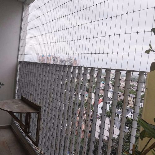 LƯỚI AN TOÀN BẢO VỆ THÚ CƯNG MÈO, CHÓ ĐẢM BẢO - Ảnh 4